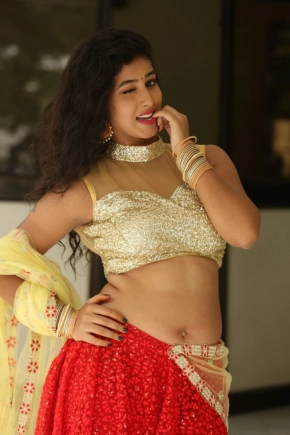 Telugu Actress Pavani In Half Saree Photos