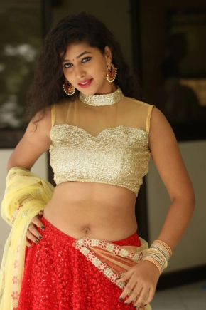 Telugu Actress Pavani In Half Saree Photos