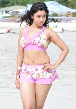 Telugu Actress Payal Ghosh Hot Bikini Photos