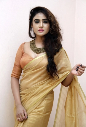 Telugu Actress Sony Charishta Hot In Saree Photos