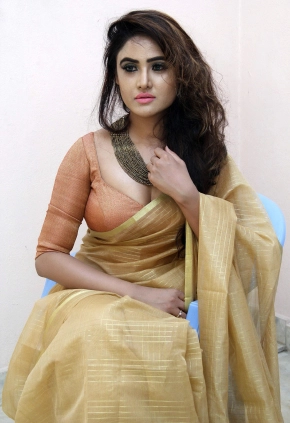 Telugu Actress Sony Charishta Hot In Saree Photos