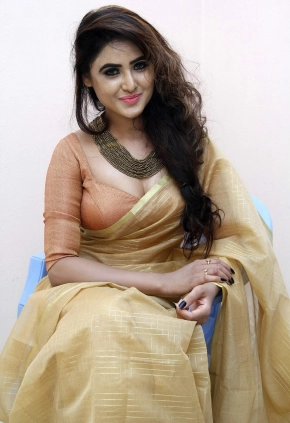 Telugu Actress Sony Charishta Hot In Saree Photos