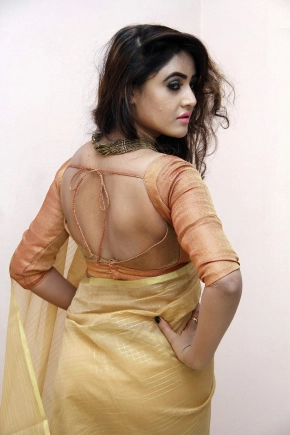 Telugu Actress Sony Charishta Hot In Saree Photos