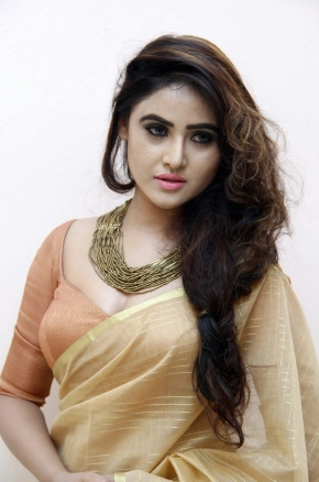 Telugu Actress Sony Charishta Hot In Saree Photos