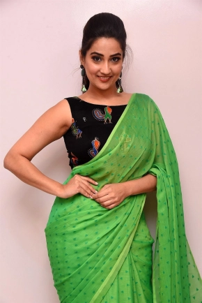 Telugu Anchor Manjusha In Green Saree Photos